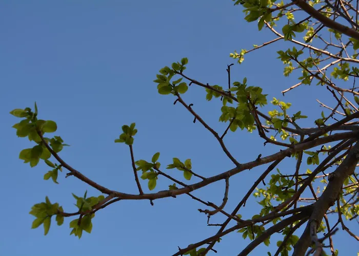 Lotus Sea View Lixouri