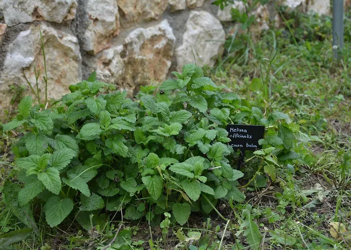 Lejlighed Lotus Sea View Lixouri