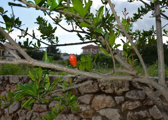 Lotus Sea View * Lixouri
