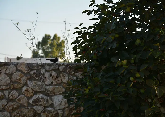 Lotus Sea View Lejlighed