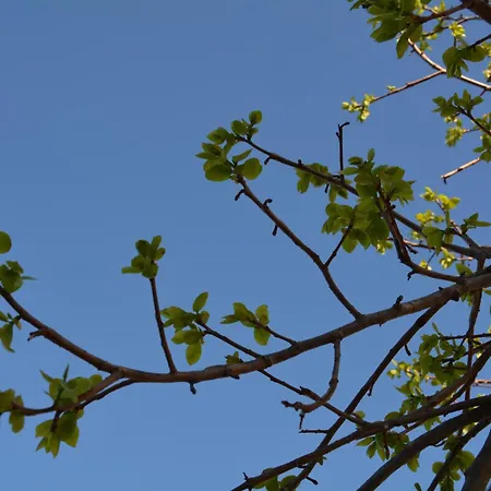 Lotus Sea View Lixouri