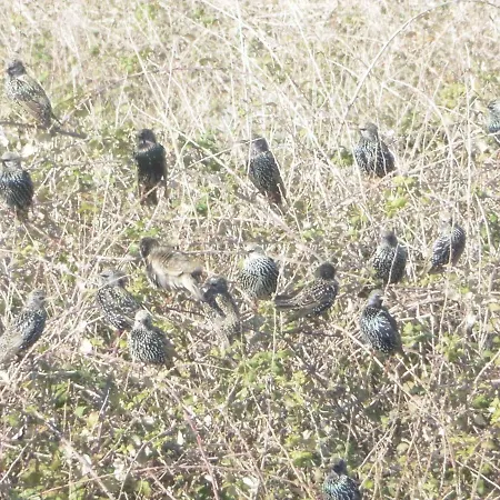 Lotus Sea View Lixouri