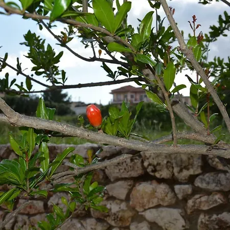 Lotus Sea View * Lixouri