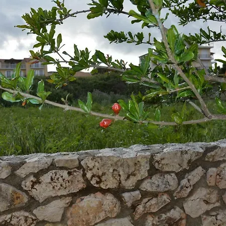 Lotus Sea View Lejlighed *