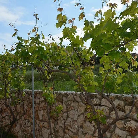 Lotus Sea View Lejlighed