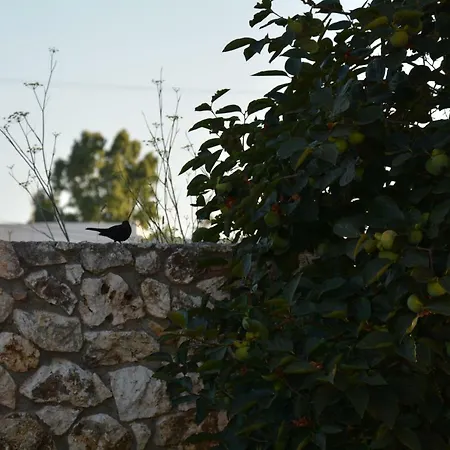 Lotus Sea View Apartamento