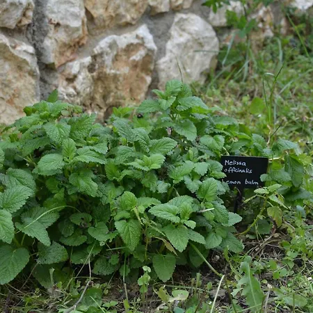 Διαμέρισμα Lotus Sea View Ληξούρι