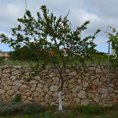 Lotus Sea View Διαμέρισμα Ληξούρι